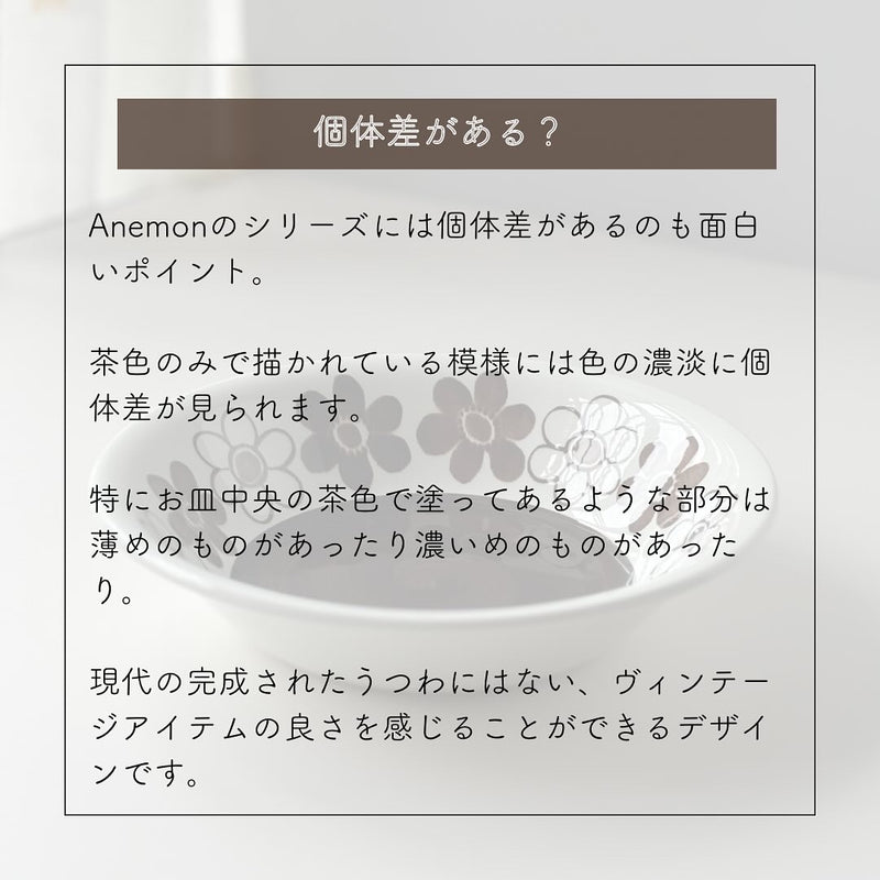 Rorstrand （ロールストランド） Anemon （アネモン）deep plate │ 北欧 スウェーデン ヴィンテージ プレート 陶磁器