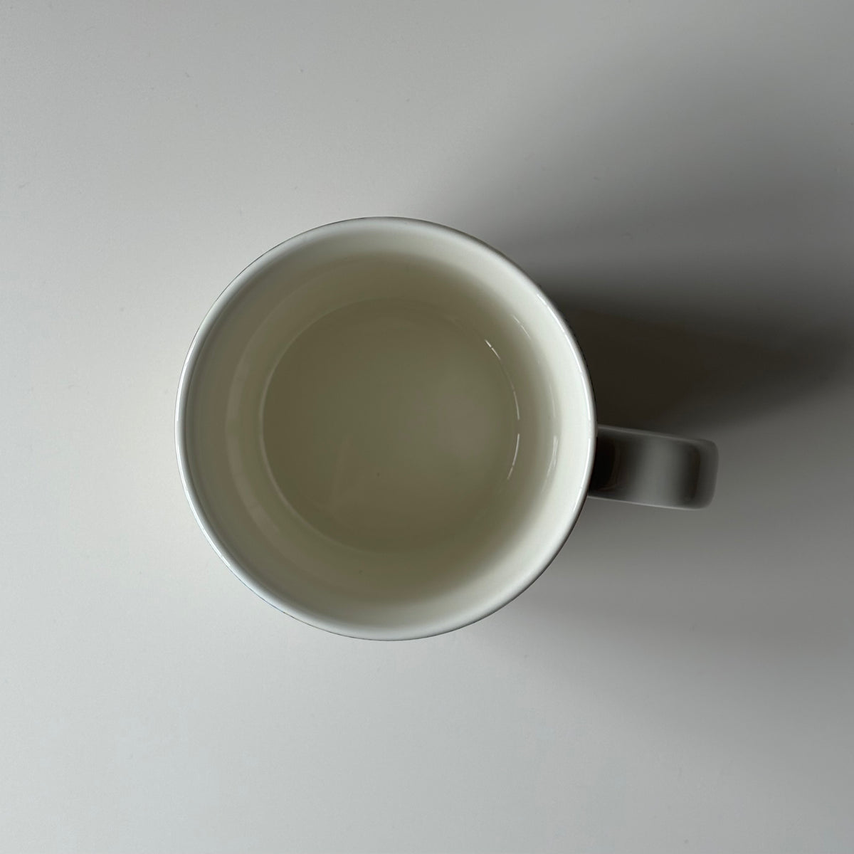 【北欧 フィンランド ヴィンテージ】 Arabia （アラビア） Teema （ティーマ） mug lei