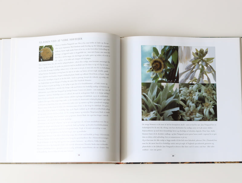 Blomster til glæde 喜びのための花々/ Jane Nørgaard │ 北欧 デンマーク ヴィンテージ フラワー インテリア 本