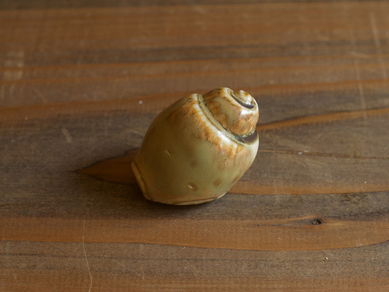 Höganäs Keramik Shell Object Beige S / John Andersson｜SWEDEN