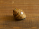 Höganäs Keramik Shell Object Brown S / John Andersson｜SWEDEN