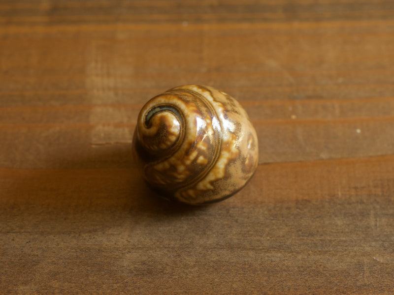 Höganäs Keramik Shell Object Brown S / John Andersson｜SWEDEN