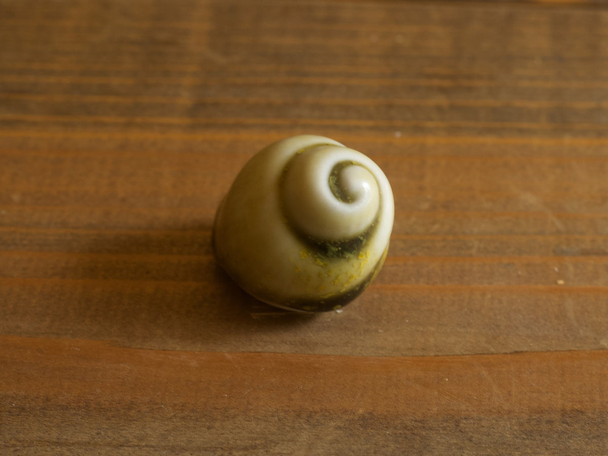 Höganäs Keramik Shell Object Ivory S / John Andersson｜SWEDEN